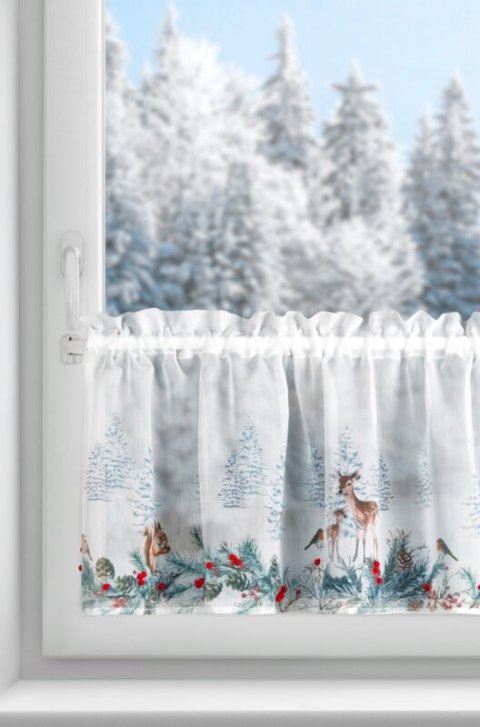 SW/XMAS/FIR/19/B 40X150 TUNEL