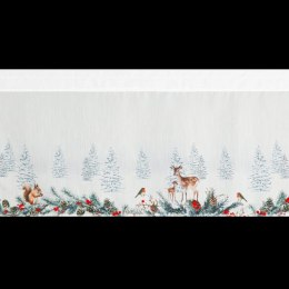 SW/XMAS/FIR/19/B 40X150 TUNEL