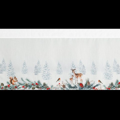 SW/XMAS/FIR/19/B 40X150 TUNEL
