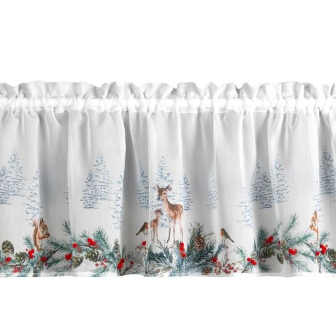 SW/XMAS/FIR/19/B 40X150 TUNEL