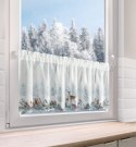 SW/XMAS/FIR/19/B 40X150 TUNEL
