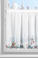 SW/XMAS/FIR/19/B 70X150 TUNEL