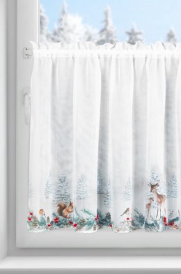 SW/XMAS/FIR/19/B 70X150 TUNEL