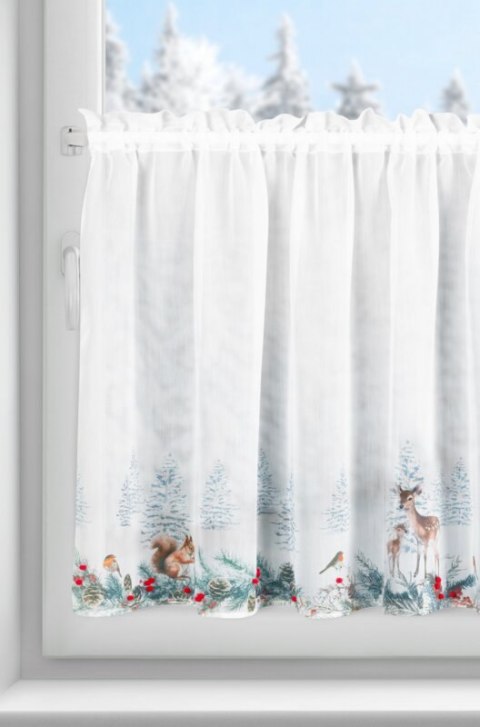 SW/XMAS/FIR/19/B 70X150 TUNEL