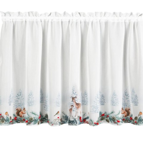 SW/XMAS/FIR/19/B 70X150 TUNEL