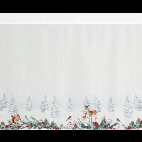 SW/XMAS/FIR/19/B 70X150 TUNEL