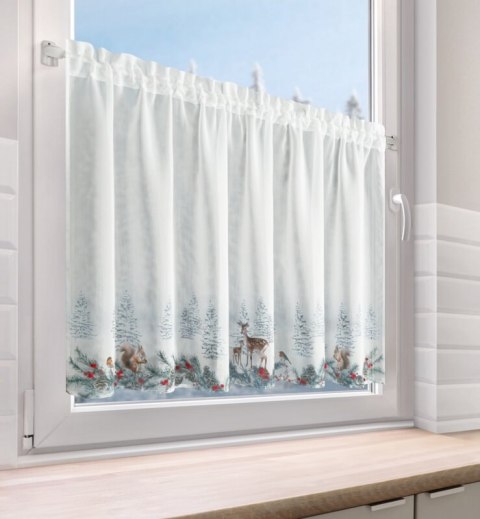 SW/XMAS/FIR/19/B 70X150 TUNEL