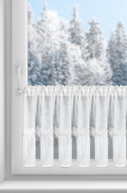 SW/XMAS/FIR/21/B 40X150 T