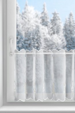 SW/XMAS/FIR/11/B 40X150 OCZKA
