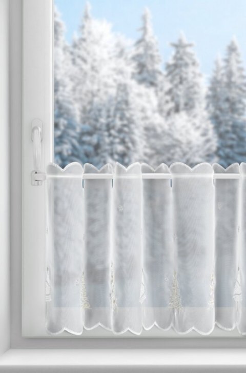 SW/XMAS/FIR/11/B 40X150 OCZKA