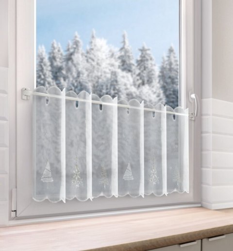 SW/XMAS/FIR/11/B 40X150 OCZKA