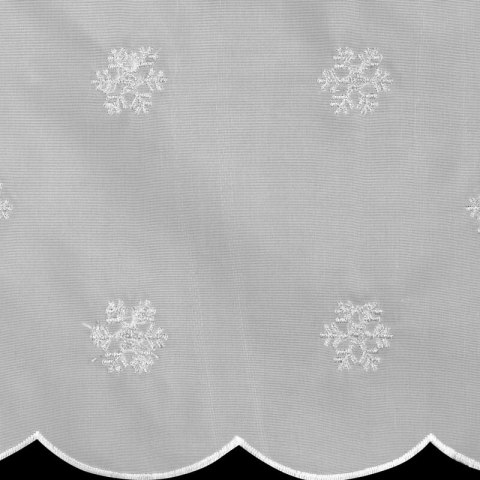 SW/XMAS/FIR/20 40X150 OCZKA B+SR