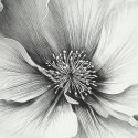 KOMPLET POŚCIELI SATYNOWEJ CAMELIA 220 X 200 CM JASNOSZARY