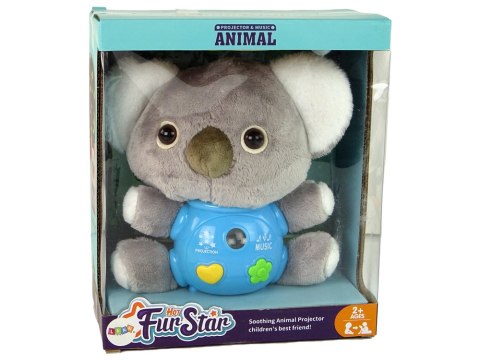 Koala Projektor Dźwięki Zabawka Interaktywna Szara Koala Projektor Dźwięki Zabawka Interaktywna Szara