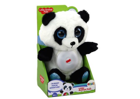 Miś Panda Usypiacz Lampka Kołysanki Przytulanka Maskotka 30 cm Miś Panda Usypiacz Lampka Kołysanki Przytulanka Maskotka 30 cm