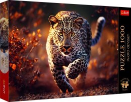 Puzzle- 