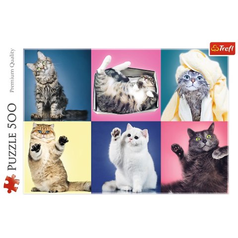 Puzzle 500 el. Kociaki Trefl 37377