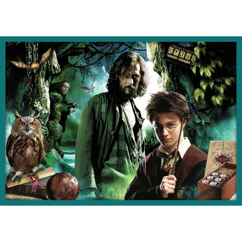 Puzzle 10w1 Harry Potter W świecie Harrego Pottera 90392