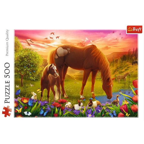 Puzzle - 500 - Konie na łące Trefl 37451