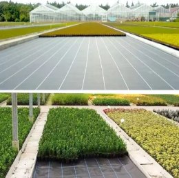 Agrotkanina czarna 1,1x50m UV 135g antychwastowa agrowłóknina + kotwy