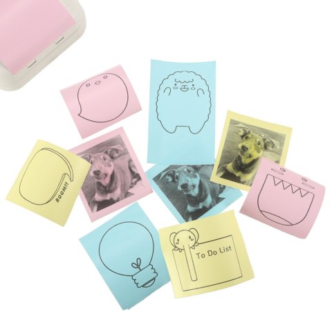 Rolki termiczne papier do drukarki apartu 5,7cm x 3m 3 sztuki kolorowe