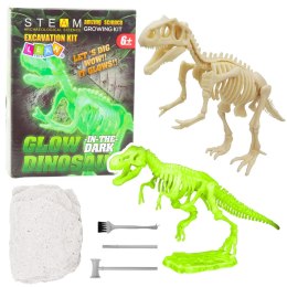 Zestaw Archeologiczny Wykopaliska Fluorescencyjny Szkielet Narzędzia