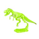 Zestaw Archeologiczny Wykopaliska Fluorescencyjny Szkielet Narzędzia