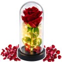 Wieczna Róża w Kopule z Oświetleniem LED Czerwona 21x11cm