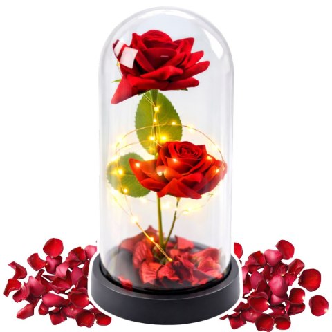 Wieczne 2 Róże w Kopule z Oświetleniem LED i Płatkami Róż Czerwone 21x11cm